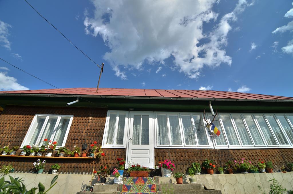 Casa Marica Casă la țară